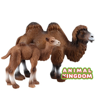 Animal Kingdom - โมเดลสัตว์ อูฐ สองหนอก แม่ลูก แดง ชุด 2 ตัว (จากหาดใหญ่)