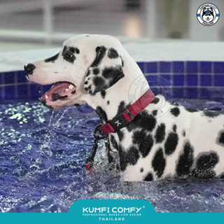 Kumfi Comfy Waterproof Collarปลอกคอสุนัขกันน้ำรุ่นใหม่ !!