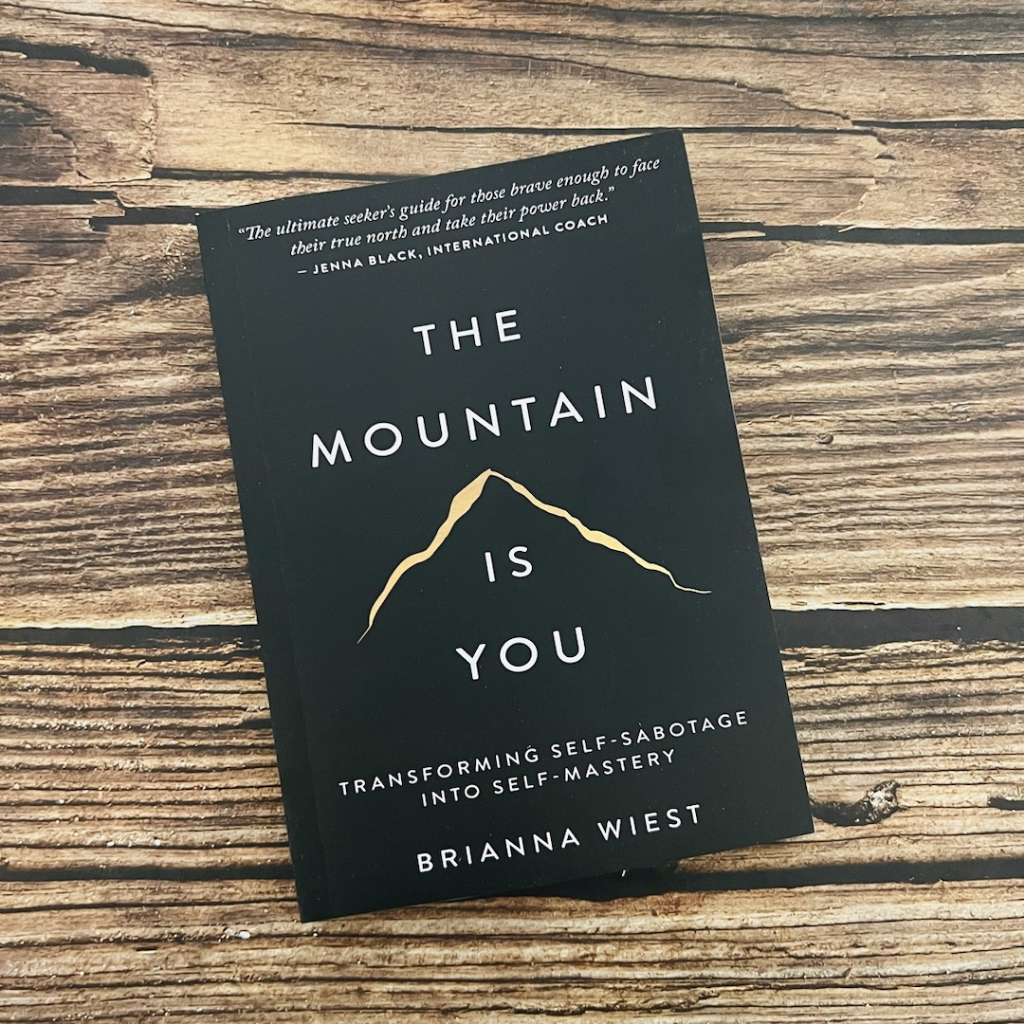 English Book The Mountain Is You Transforming SelfSabotage Into SelfMastery