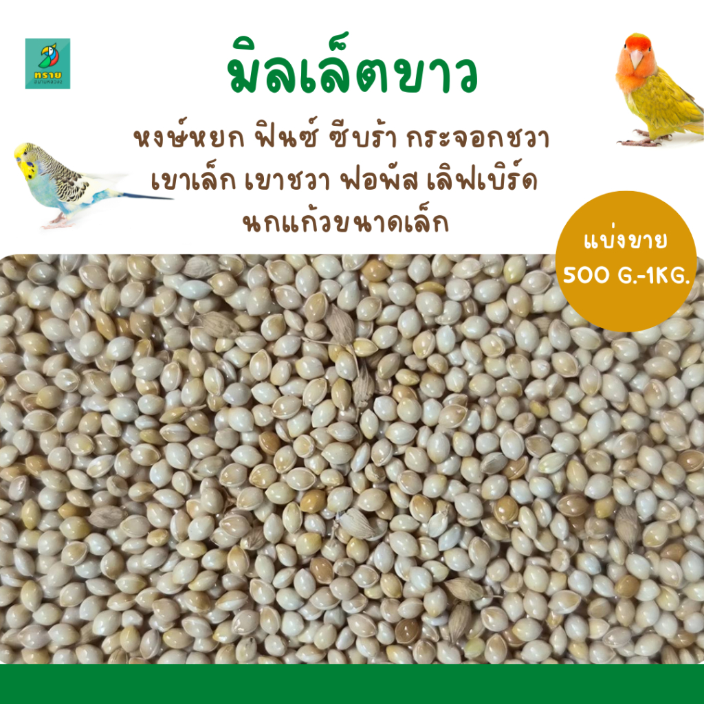 ราคาและรีวิวมิลเล็ตขาว(แบ่งขาย 200G.-500G.-1KG.) หงษ์หยก ฟิ้นซ์ ซีบร้า กระจอกชวา