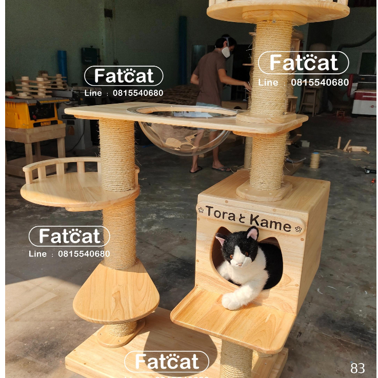คอนโดแมว-บ้านแมว-ของเล่นแมว-รุ่น-83-ทำจากไม้ยางพาราอย่างดี-ใช้เชือกมะนิลาแท้-100-แข็งแรง-ทนทาน-ใช้งานได้ยาวนานหลายปี