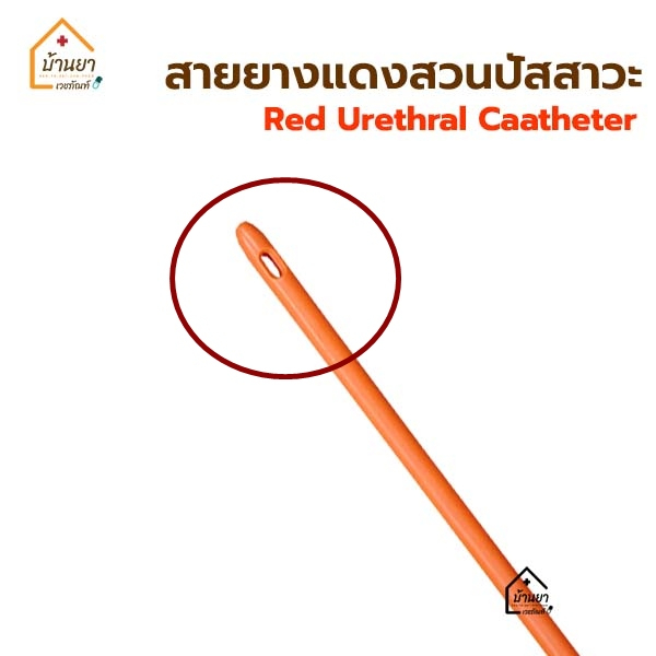 สายสวนปัสสาวะ-แบบสวนทิ้ง-สายยางแดงสวนปัสสาวะ-red-urethral-สายยางแดง-สายปัสสาวะ-french-catheter