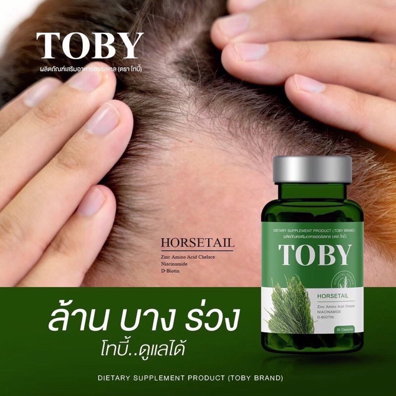 แท้-โทบี้-ฮอร์สเทล-toby-horsetail-โทบี้ฮอสเทล-โทบี้หญ้าหางม้า