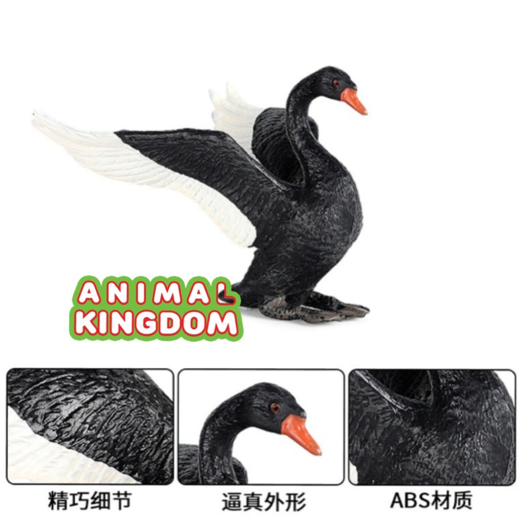 animal-kingdom-โมเดลสัตว์-หงส์-ดำ-ขนาด-12-00-cm-จากสงขลา