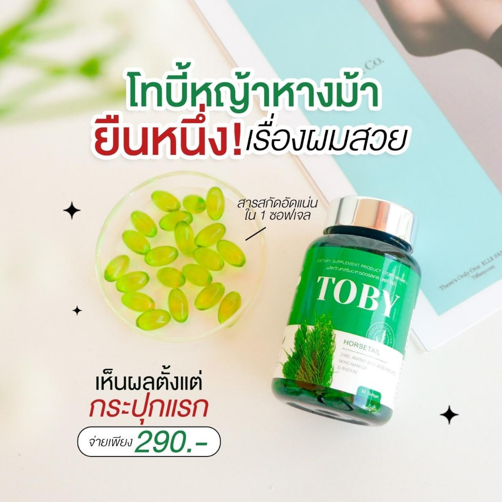 toby-horsetail-วิตามินลดผมร่วง-ผมบาง-หัวล้าน-กระตุ้นการเกิดใหม่ของเส้นผม-ลูกผมเยอะขึ้น-บำรุงล้ำลึกจากภายใน-สู่รากผม