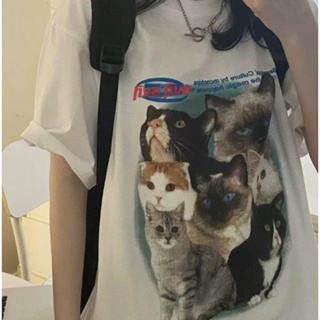 เสื้อยืดคอกลมลายแมว มีหลายไซส์ M L XL เสื้อยืดพิมพ์ลายน้องแมว