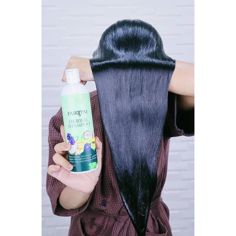 แฟรี่ปาย-แชมพู-ลดผมร่วง-แชมพูสมุนไพร-ลดรังแค-เร่งผมยาว-shampoo-fairypai-300ml