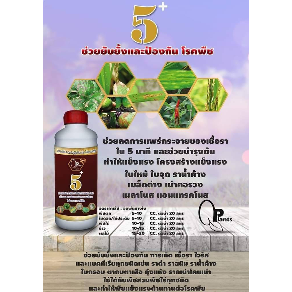 q-plants-คิวแพลน-qyou-หัวอาหารพืช-สูตรเข้มข้นจบครบทุกอย่างที่พืชต้องการ-ปุ๋ยทางใบ-ปุ๋ยหมัก-ปุ๋ยชีวภาพ