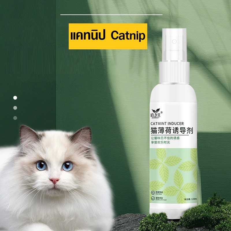 catmint-catnip-แบบน้ำ-ฉีด-ทำให้แมวอารมณ์ดี-120ml