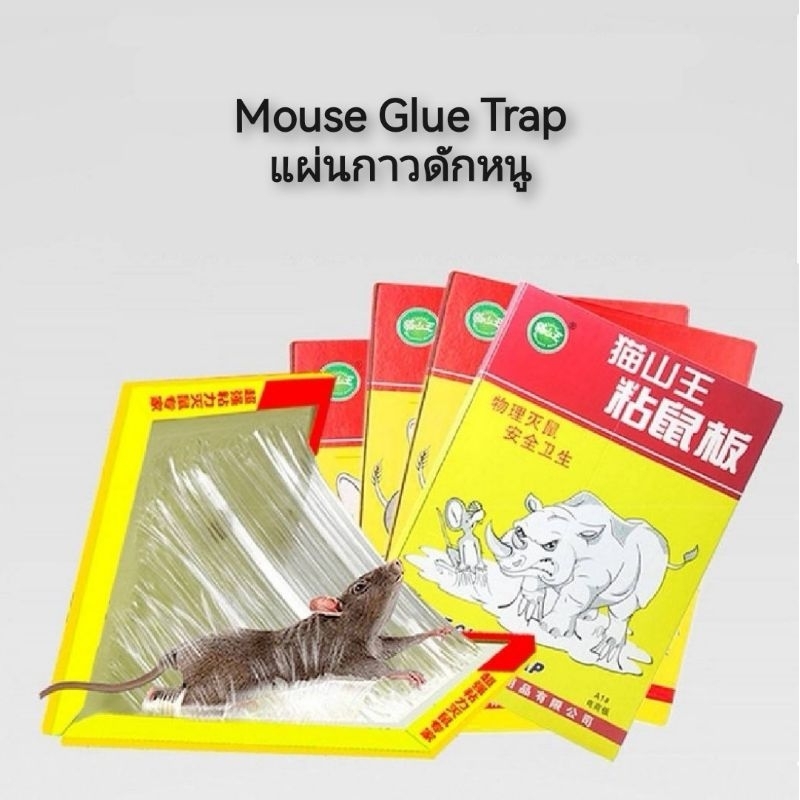 mouse-glue-trap-แผ่นกาวดักหนู-กาวดักหนู
