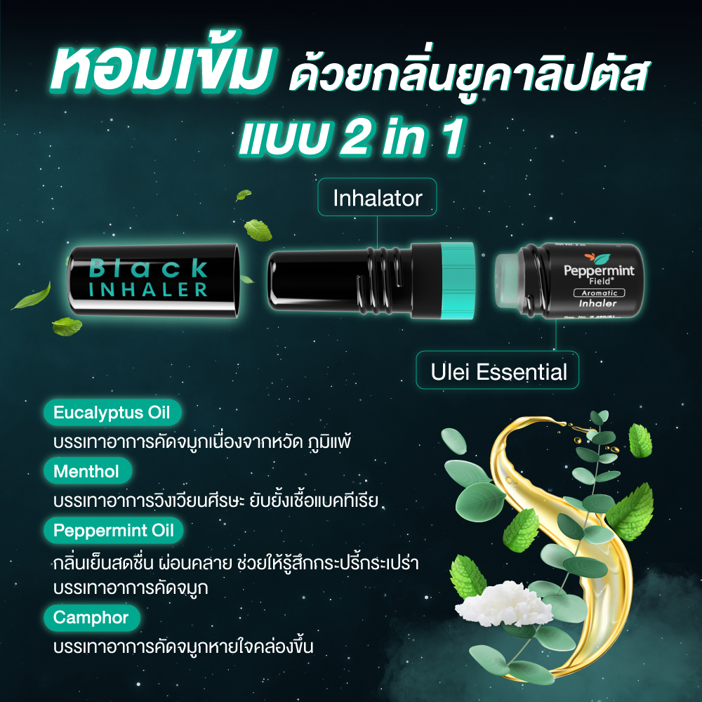 ภาพสินค้าPeppermint Field Black Inhaler ยาดมเป๊ปเปอร์มิ้นท์ ฟิลด์ แบล็คอินเฮเลอร์ จำนวน 6 ชิ้น จากร้าน bertram1958 บน Shopee ภาพที่ 5