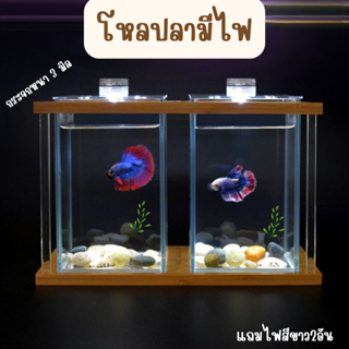 ภาพขนาดย่อของภาพหน้าปกสินค้าตู้ปลา โหลปลา2ช่อง โหลปลากัด ตู้ปลาขนาดเล็กมีไฟ จากร้าน kdy.es บน Shopee