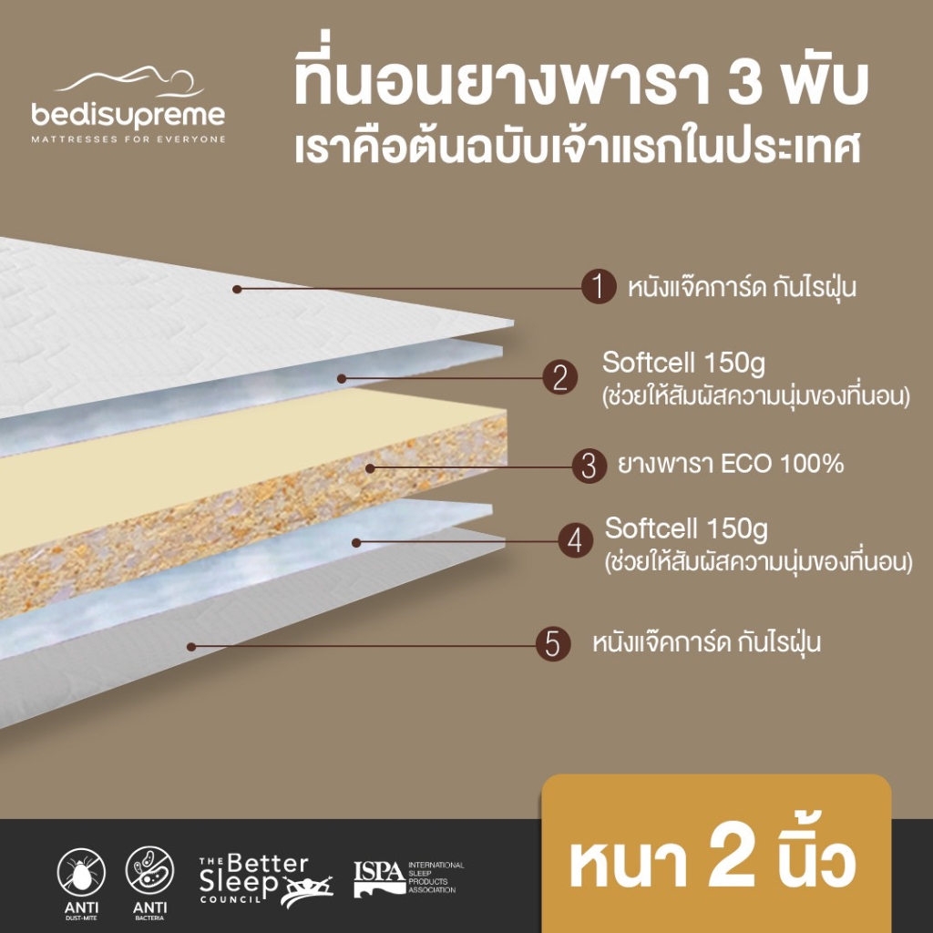 ndlที่นอนยางพาราแท้-100-natural-latex-3-พับ-หนา-2-นิ้ว-หุ้มผ้านอกกันไรฝุ่น-กันน้ำ-ขนาด-3-ฟุต-3-5-ฟุต-5-ฟุต-6-ฟุต