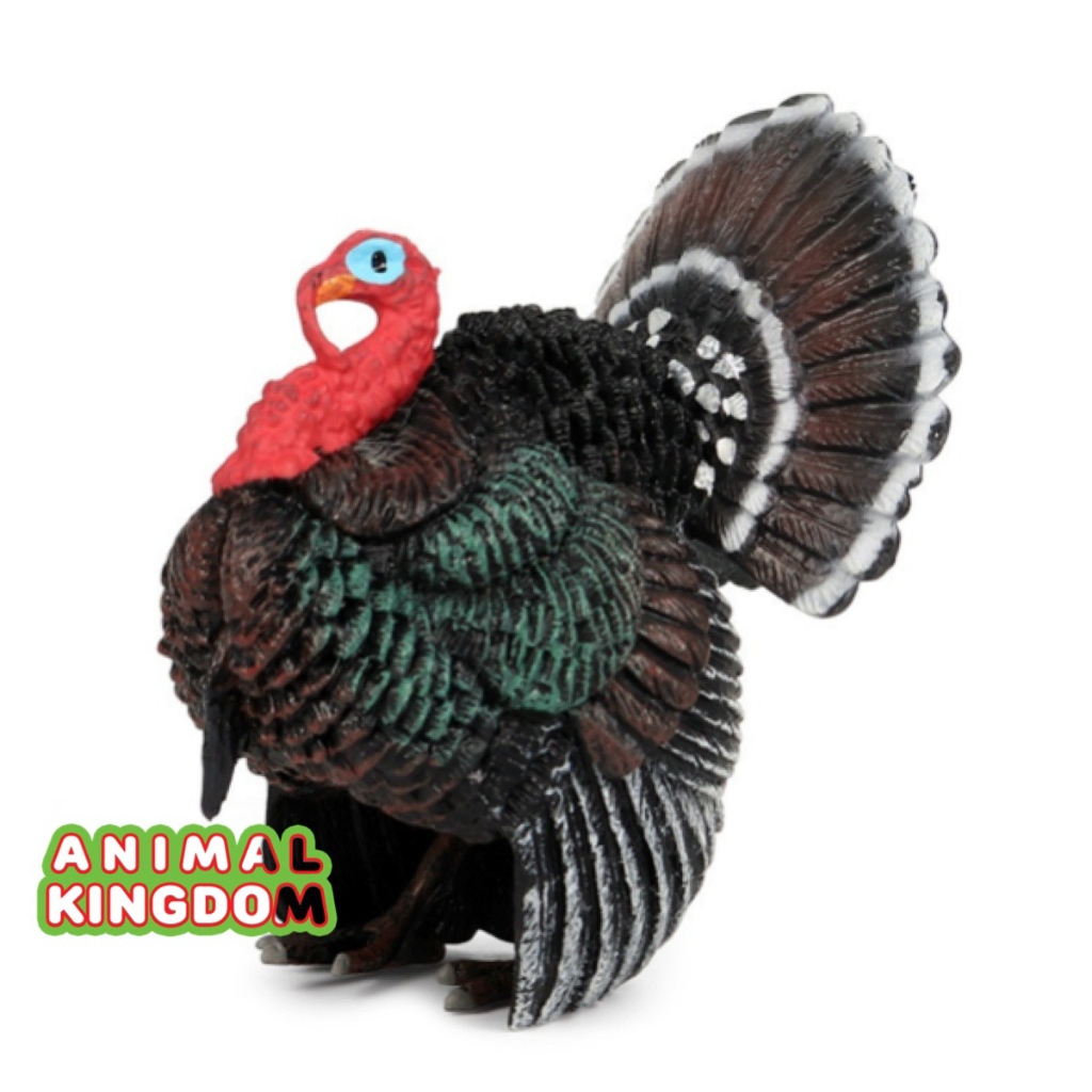 animal-kingdom-โมเดลสัตว์-ไก่งวง-ขนาด-6-60-cm-จากสงขลา