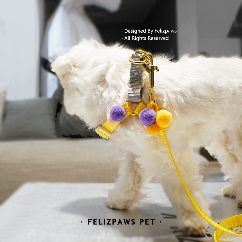 felizpaws-ชุดสายจูง-สายจูงสุนัข-ทูโทน-สำหรับสุนัขพันธุ์เล็ก-ตกแต่งปอมปอม