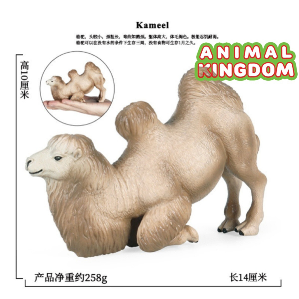 animal-kingdom-โมเดลสัตว์-อูฐ-สองหนอก-หมอบครีม-ขนาด-14-00-cm-จากหาดใหญ่