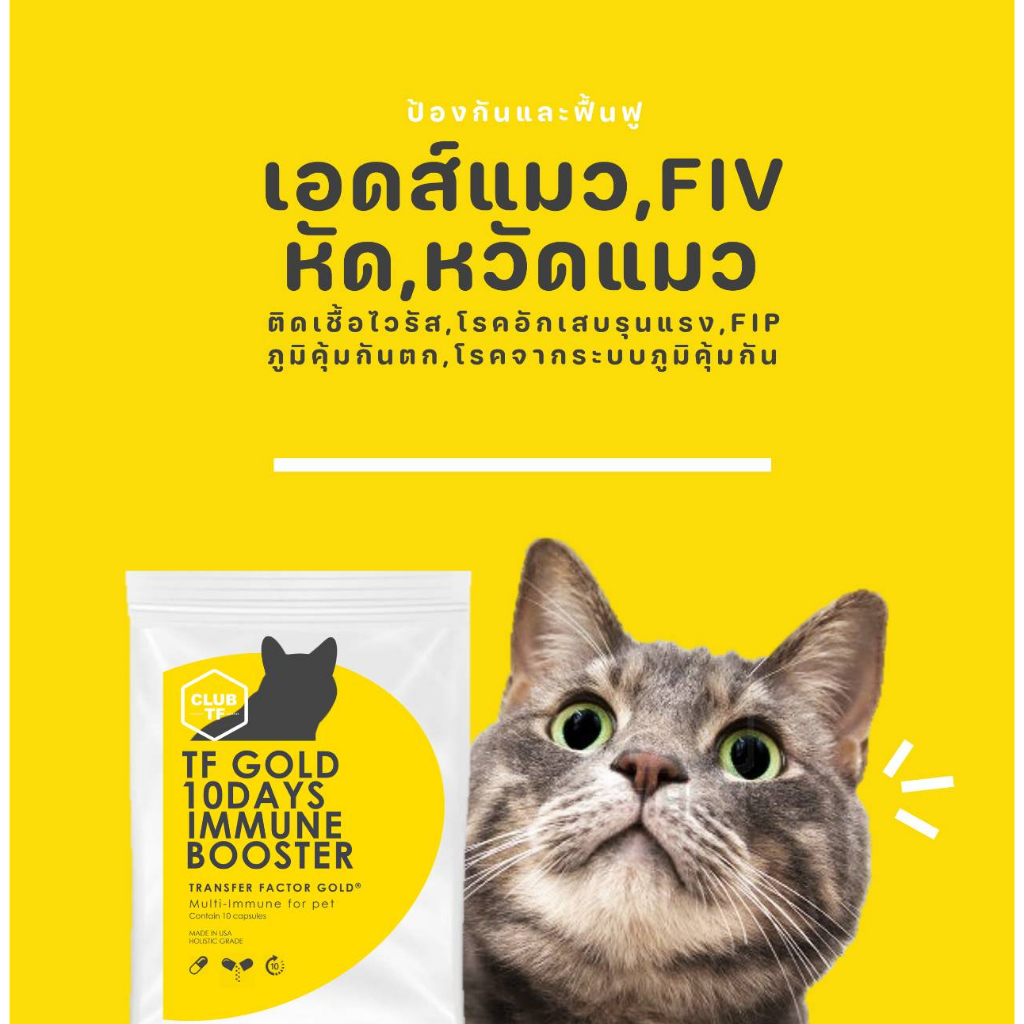 เบต้ากลูแคน-transferfactor-เพิ่มภูมิคุ้มกันได้ถึง-493-ต้านไวรัส-ติดเชื้อ-อักเสบและอาการป่วยต่างๆ