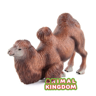 Animal Kingdom - โมเดลสัตว์ อูฐ สองหนอก หมอบแดง ขนาด 14.00 CM (จากหาดใหญ่)