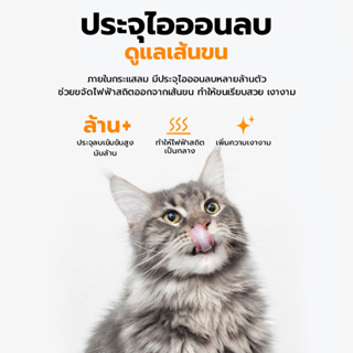 ภาพขนาดย่อของภาพหน้าปกสินค้าPETKIT Airsalon Max Smart Pet Dryer (Thai Version) ประกันมอเตอร์ศูนย์ไทย 10 ปี ตู้เป่าขนอัจฉริยะ ตู้เป่าขนแมว จากร้าน petkitofficialthailand บน Shopee ภาพที่ 5