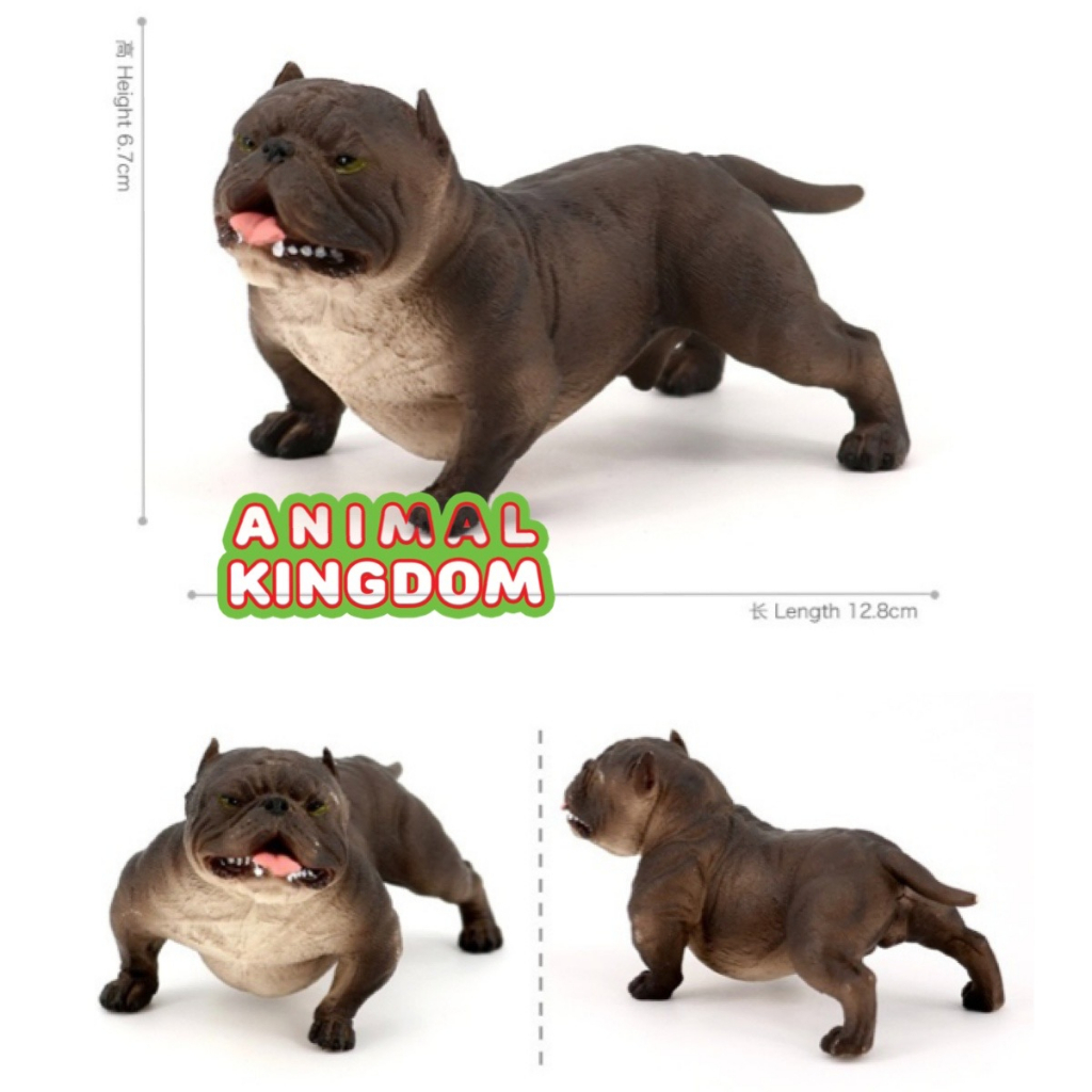 animal-kingdom-โมเดลสัตว์-สุนัข-หมาพิทบูล-ดำ-ขนาด-13-60-cm-จากหาดใหญ่