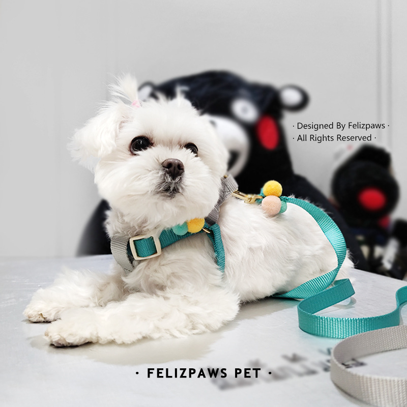 felizpaws-ชุดสายจูง-สายจูงสุนัข-ทูโทน-สำหรับสุนัขพันธุ์เล็ก-ตกแต่งปอมปอม