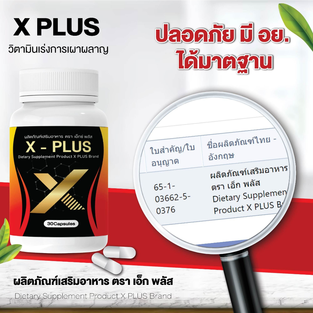 x-plus-s-plus-เพิ่มการเผาพลาญไขมันเก่าและใหม่