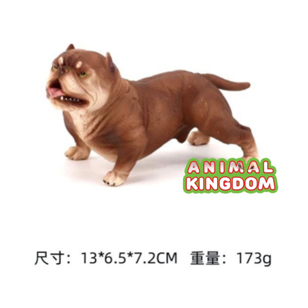 animal-kingdom-โมเดลสัตว์-สุนัข-หมาพิทบูล-น้ำตาล-ขนาด-13-60-cm-จากหาดใหญ่