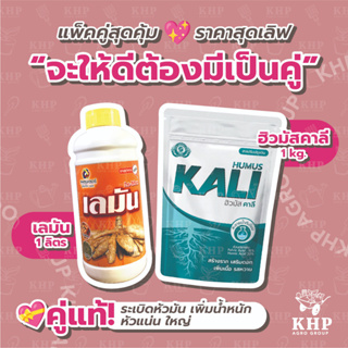 แพ็คคู่ เลมัน 1 ลิตร + คาลี 1 kg. ระเบิดหัวมัน พร้อมปรับโครงสร้างดิน หัวแน่นหนัก อวบ ใหญ่ น้ำหนักดี ผลผลิตต่อไร่สูง