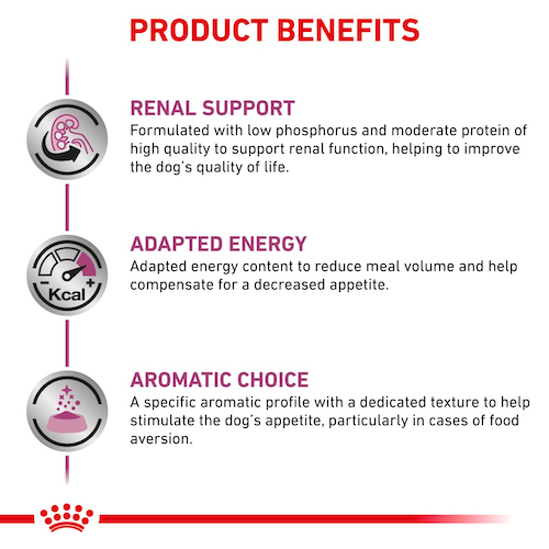 royal-canin-renal-อาหารประกอบการรักษาโรคชนิดเปียก-สุนัขโรคไต