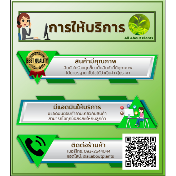 หัวพ่นยา-หัวพัดฉีดยา-ทองเหลือง-หัวฉีดยา-หัวพ่นทองเหลือง-หัวฉีดยาทองเหลือง-หัวพ่นยาติดท้ายรถไถ-หัวพัด-วฉีดสารกำจัดวัชพืช