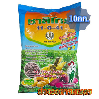 ✅ ชาลีโกร (11-0-41) 10 กิโลกรัม ปุ๋ยระเบิดหัวมันทุกชนิด พืชหัว หอมแดง หัวหอม ผักต่างๆ กะหล่ำ ตราลูกปืน