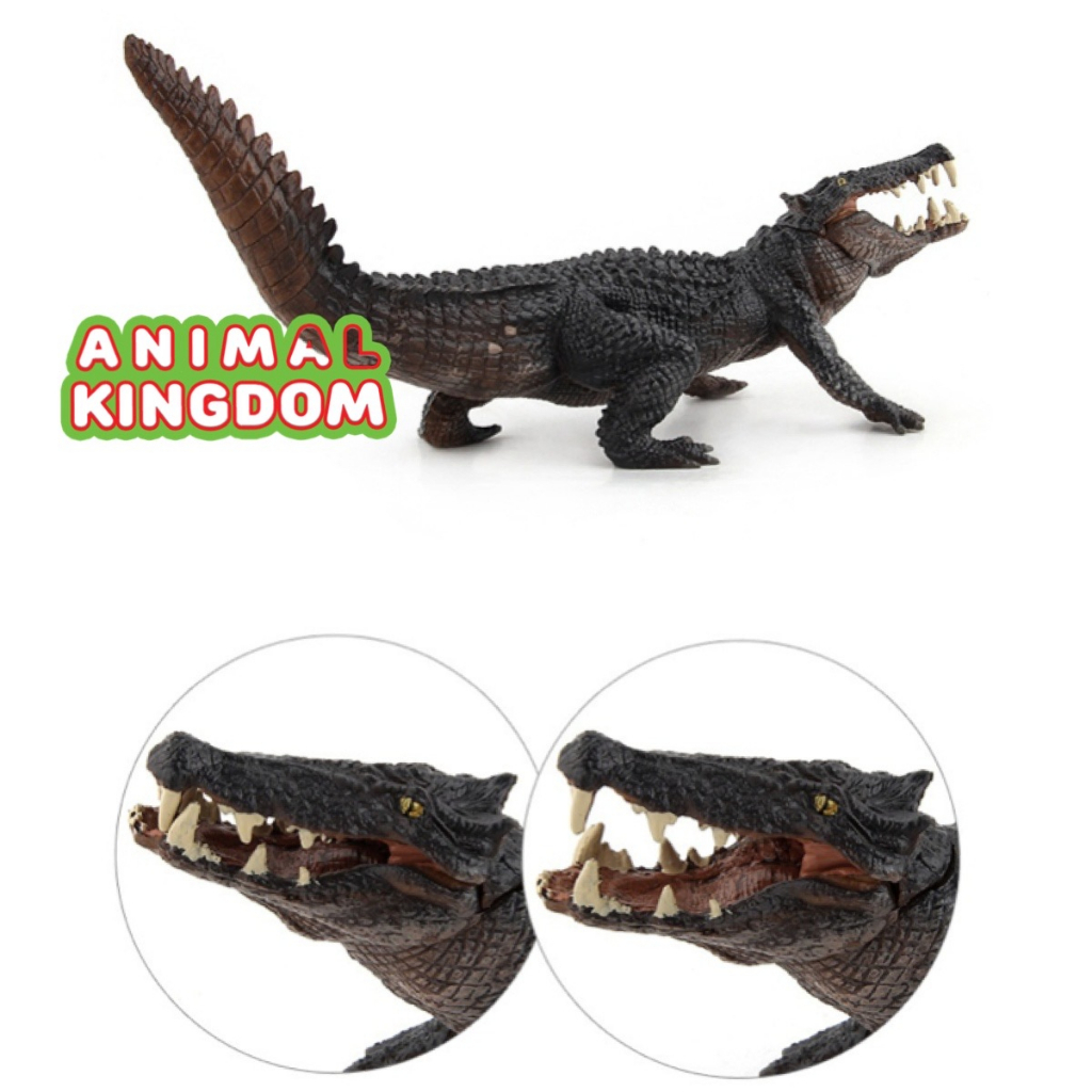 animal-kingdom-โมเดลสัตว์-จระเข้-เทาดำ-ขนาด-25-00-cm-จากสงขลา