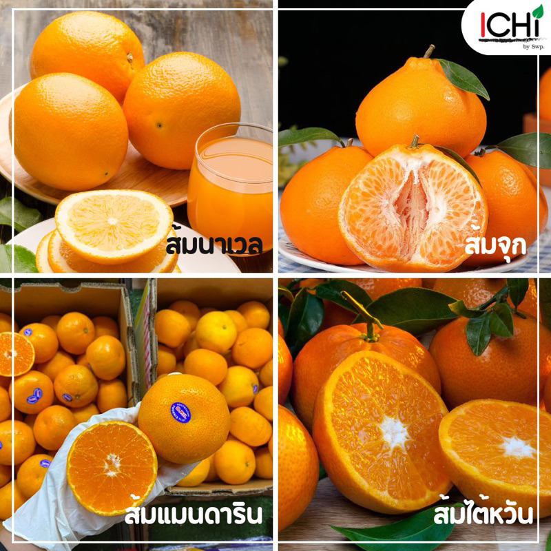ส้ม 1 Kg. ส้มไต้หวัน ส้มจุก ส้มแมนดารินฯลฯ | Shopee Thailand