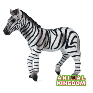 Animal Kingdom - โมเดลสัตว์ ม้าลาย ขนาด 13.00 CM (จากหาดใหญ่)