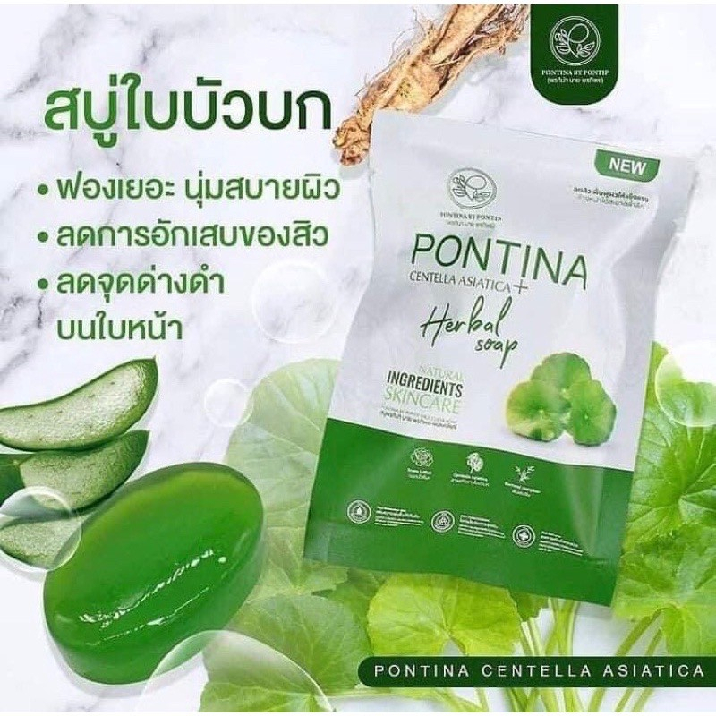 สบู่ใบบัวบกพรทิน่า-pontina-พรทิน่า-สบู่ใบบัวบก