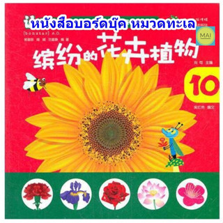 หนังสือบอร์ดบุ๊ค board book หนังสือปกเเข็ง หนังสือเด็ก หนังสือสองภาษา หนังสือภาพ