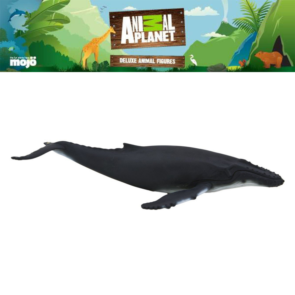 โมเดล-ของเล่นเด็ก-animal-planet-model-387119p-humpback-whale-วาฬหลังค่อม