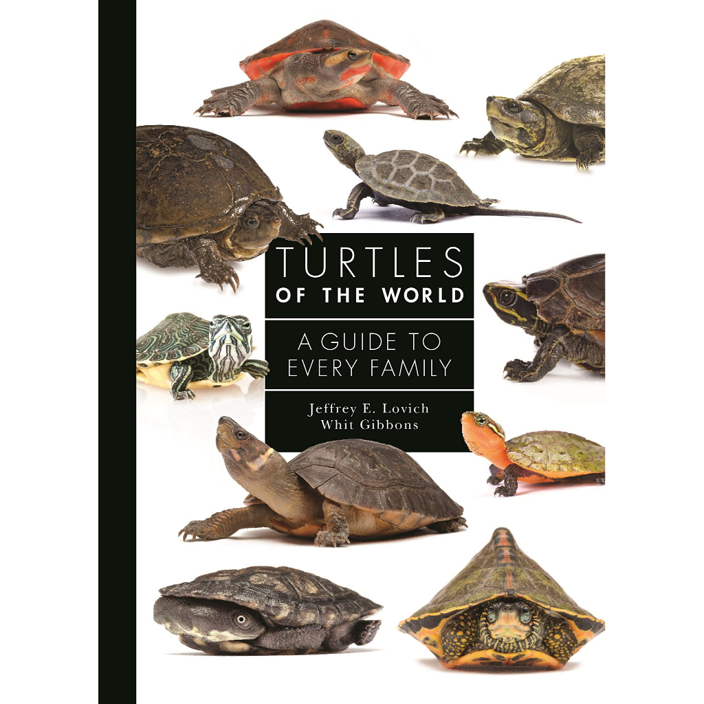 turtles-of-the-world-a-guide-to-every-family