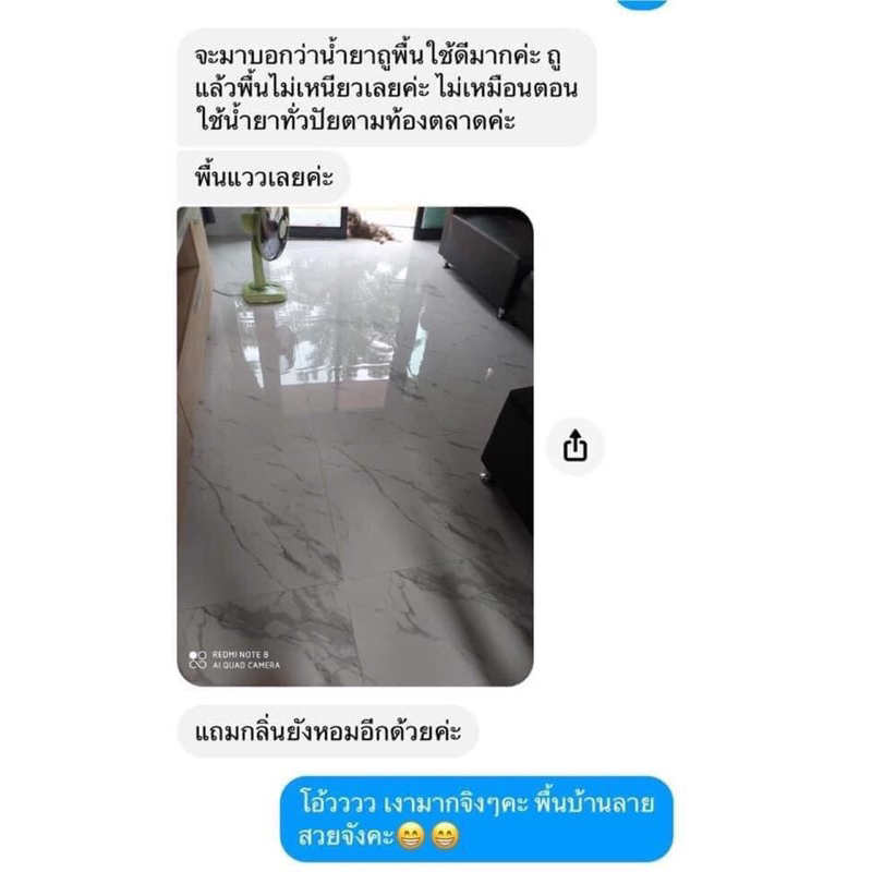 น้ำยาถูพื้นดับกลิ่นฉี่สุนัขแมว