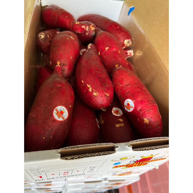 รูปภาพของมันหวานญี่ปุ่น มันหวานญี่ปุ่นตรามงกุฏ เนื้อสีเหลือง (Sweet Potato King)( 5 กิโลกรัม) มันปลูกที่เวียดนามลองเช็คราคา