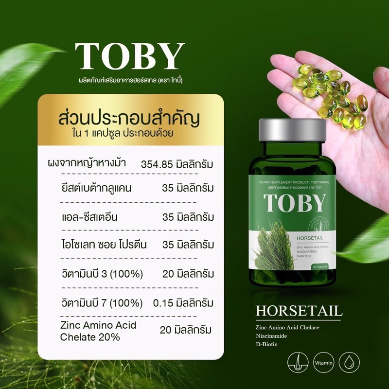 toby-horsetail-ผมร่วง-ผมบาง-ล้าน-วิตามินบำรุงผม