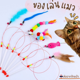 ภาพหน้าปกสินค้าของเล่นแมว ไม้ตกแมว  ไม้ล่อแมว ไม้แมว บอลกรงหนู บอลล้มลุก ที่เกี่ยวข้อง