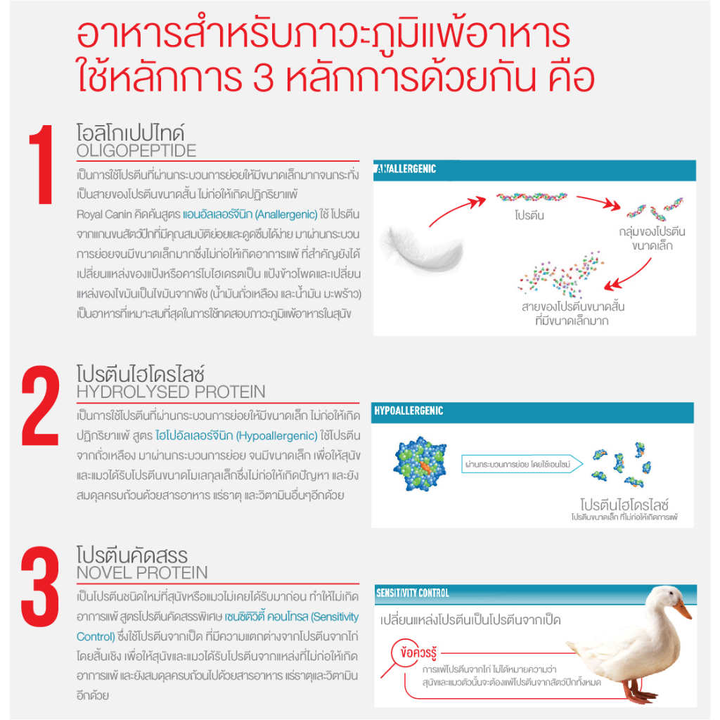 royal-canin-anallergenic-cat-2-kg-รักษาภาวะภูมิแพ้อาหาร-สําหรับแมวโต-อายุ-1-ปีขึ้นไป-สินค้าพร้อมส่ง