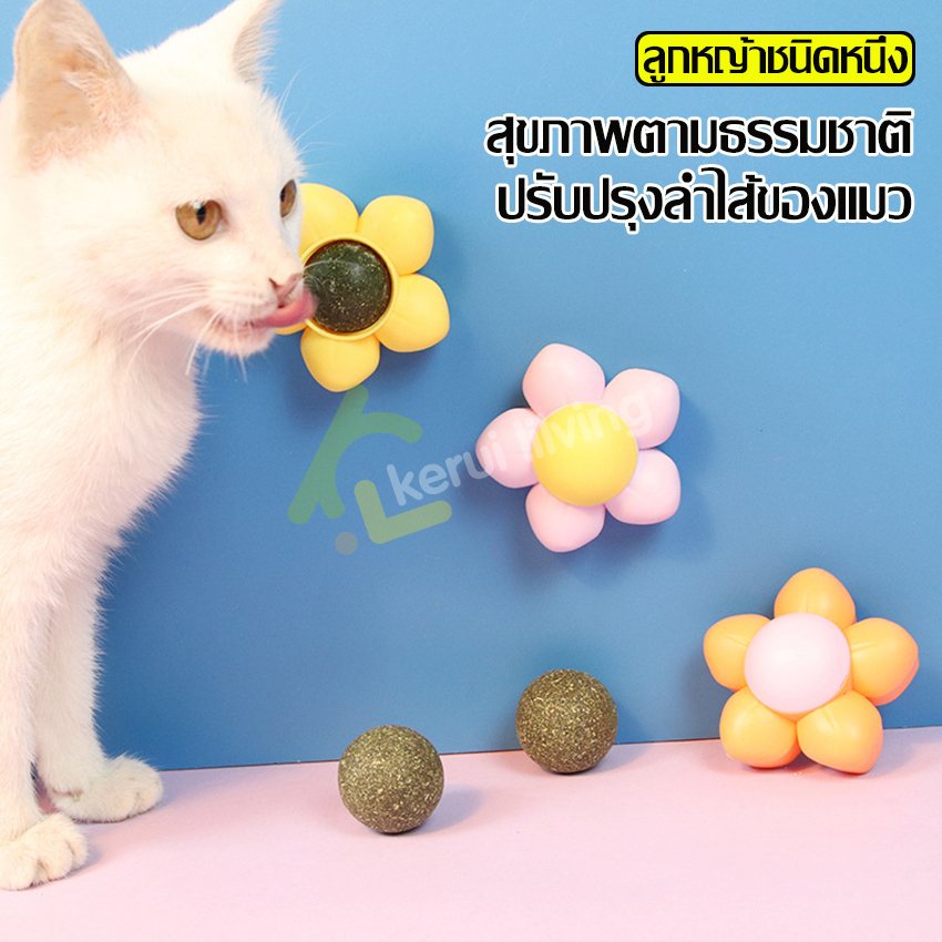 แคทนิปติดผนัง-กัญชาแมว-แคทนิปแบบก้อน-แคทนิปบอล-ขนมแมว-ของเล่นแมวเลีย-catnip-แคทนิป-แคทนิปแมว-ขนมแมว-ช่วยให้น้องเหมียว