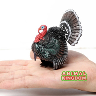 Animal Kingdom - โมเดลสัตว์ ไก่งวง ขนาด 6.60 CM (จากสงขลา)