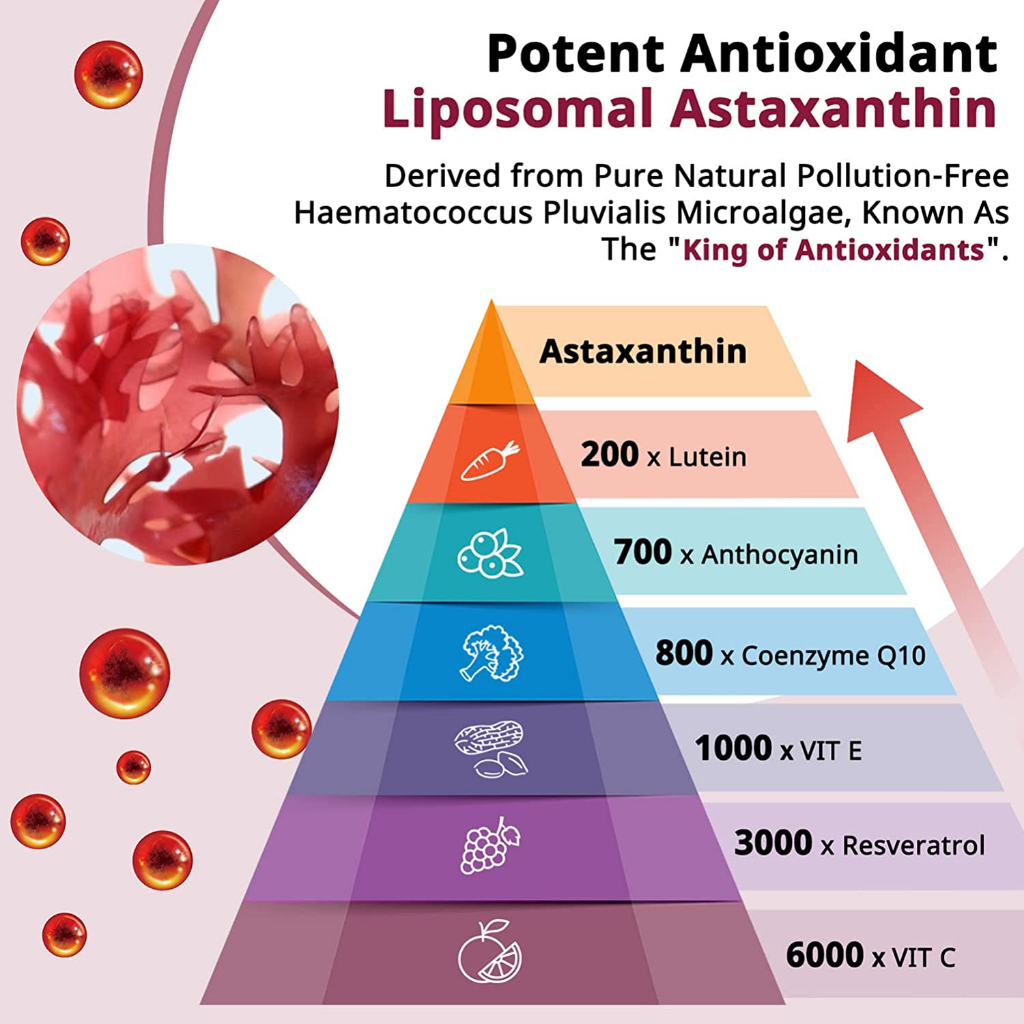 ภาพสินค้าOsasuna Liposomal Astaxanthin 24mg (60เม็ด) ต้านอนุมูลอิสระที่ทรงพลังที่สุดของธรรมชาติ ชะลอความเสื่อมของเซลล์ จากร้าน moleq.skincare บน Shopee ภาพที่ 6