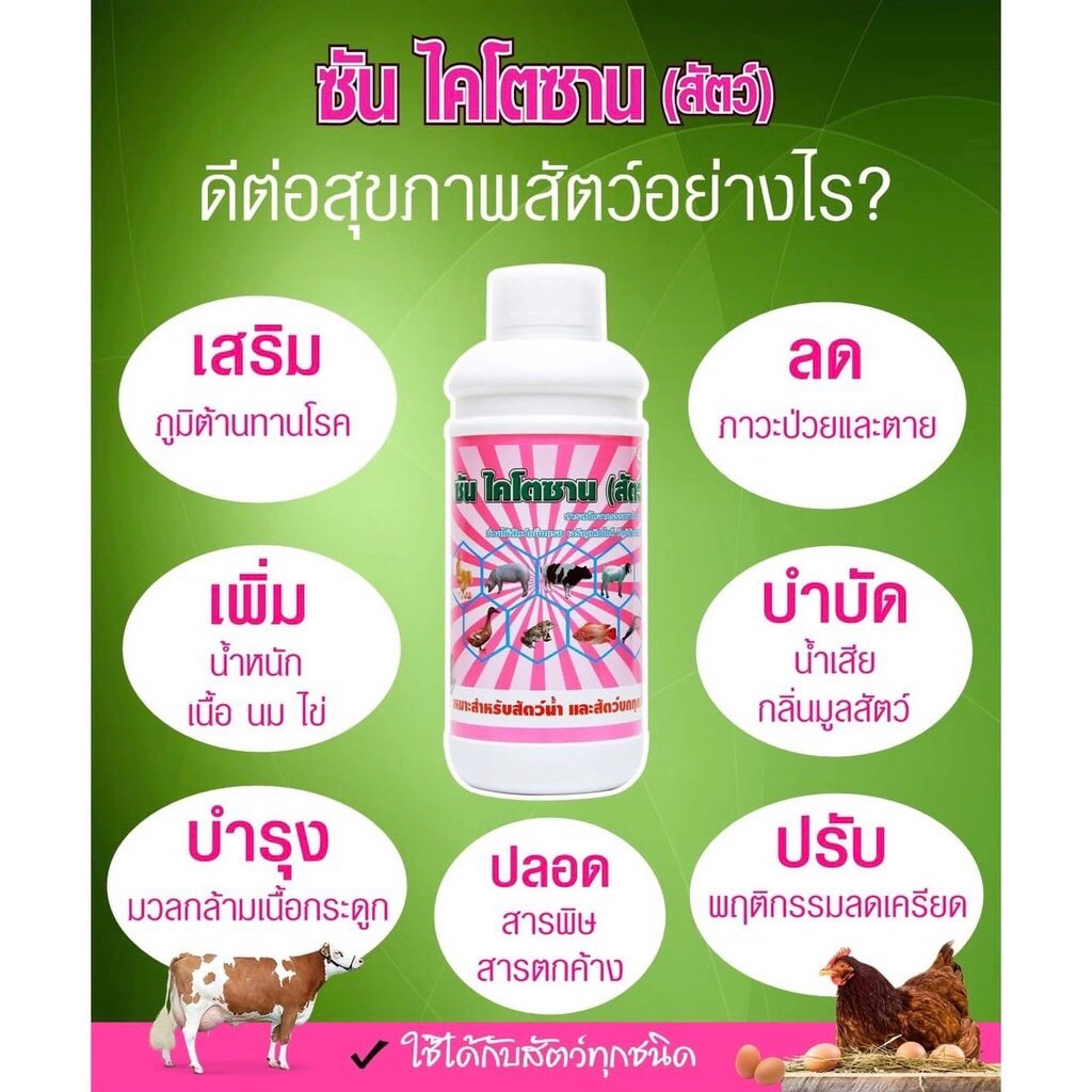 10แถม2-ซันไคโตซานสัตว์-ขวดล่ะ1ลิตร-ส่งฟรี-ผลิตใหม่