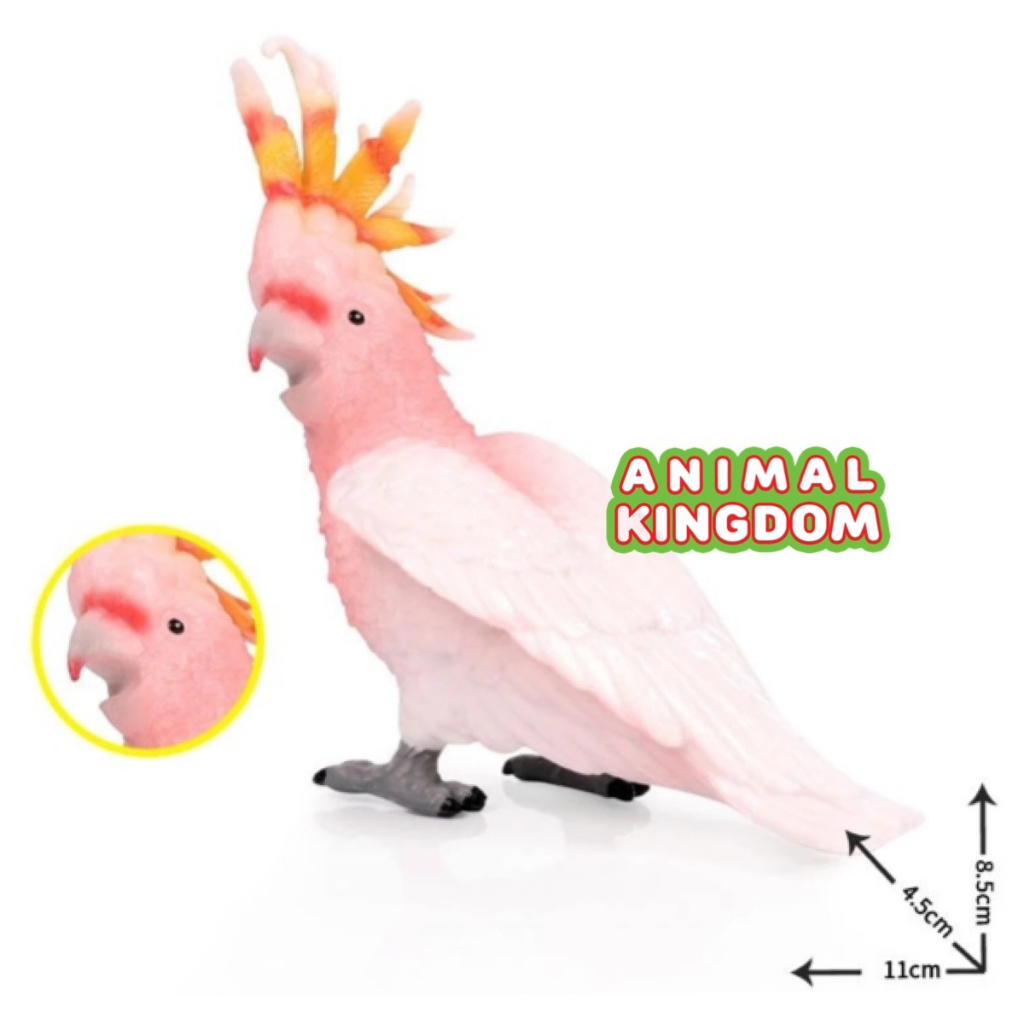 animal-kingdom-โมเดลสัตว์-นกกระตั้ว-ขนาด-11-00-cm-จากสงขลา