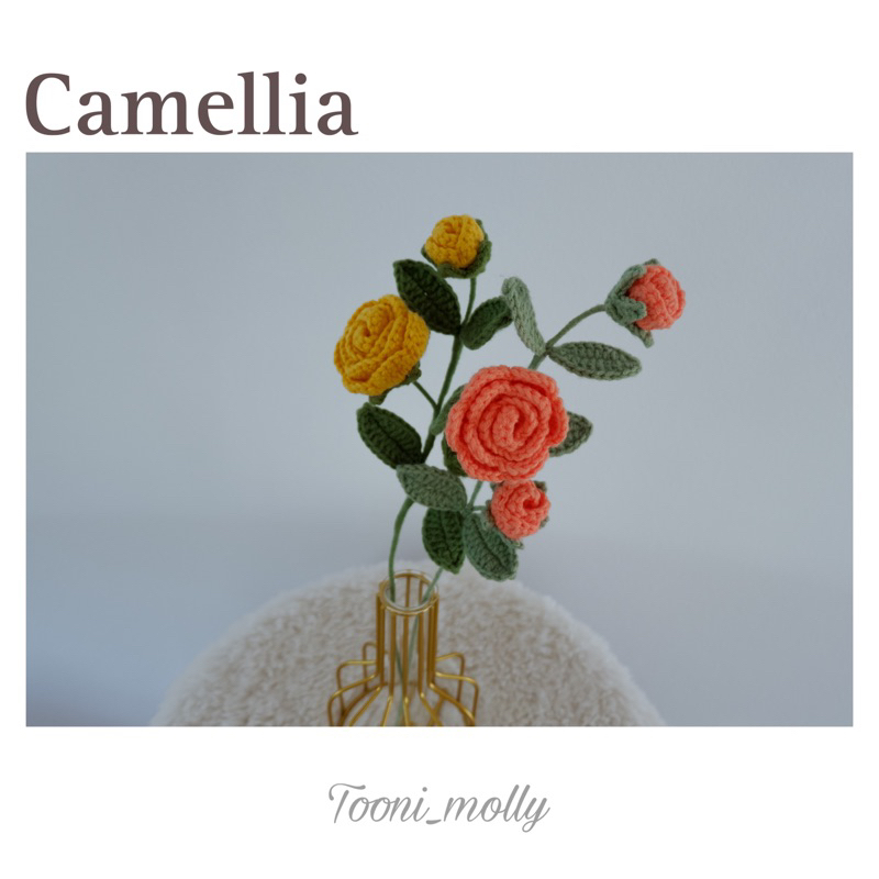 ดอกคามิเลีย-camellia
