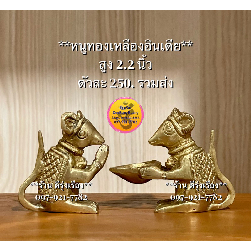 หนูทองเหลืองอินเดีย-สูง-2-2-นิ้ว